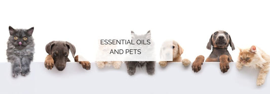 Pets and Essential Oils