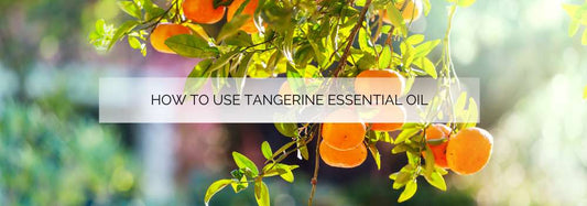 How to Use Tangerine Essential Oil