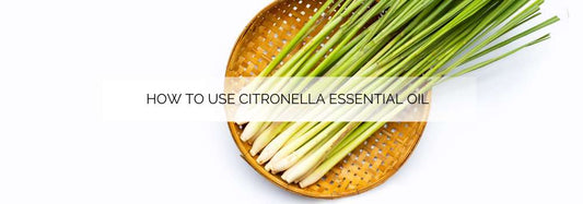 How to use citronella essential oil