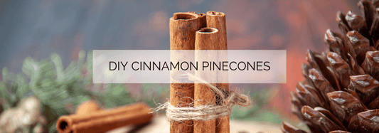 DIY Cinnamon Pinecones with essential oils
