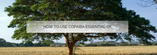 How to Use Copaiba Essential Oil