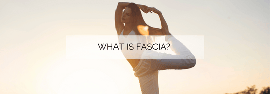 What is fascia?