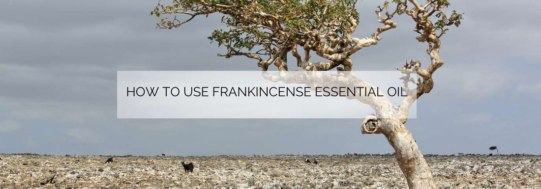 How to use Frankincense essential oil