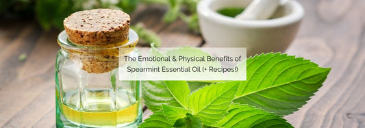 The Emotional & Physical Benefits of Spearmint Essential Oil (+ Recipes!)